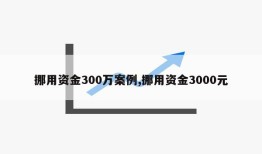 挪用资金300万案例,挪用资金3000元