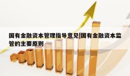 国有金融资本管理指导意见|国有金融资本监管的主要原则