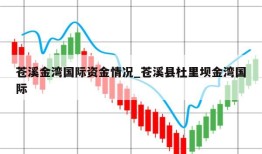 苍溪金湾国际资金情况_苍溪县杜里坝金湾国际