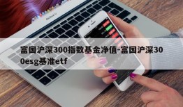 富国沪深300指数基金净值-富国沪深300esg基准etf