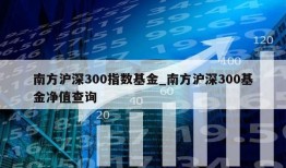 南方沪深300指数基金_南方沪深300基金净值查询