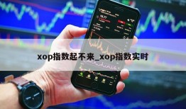 xop指数起不来_xop指数实时