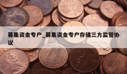 募集资金专户_募集资金专户存储三方监管协议