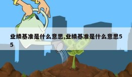 业绩基准是什么意思,业绩基准是什么意思55