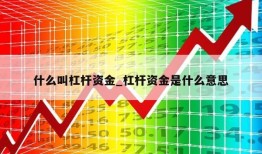 什么叫杠杆资金_杠杆资金是什么意思