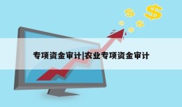 专项资金审计|农业专项资金审计