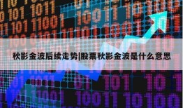 秋影金波后续走势|股票秋影金波是什么意思