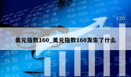 美元指数160_美元指数160发生了什么