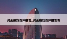 资金绩效自评报告_资金绩效自评报告表